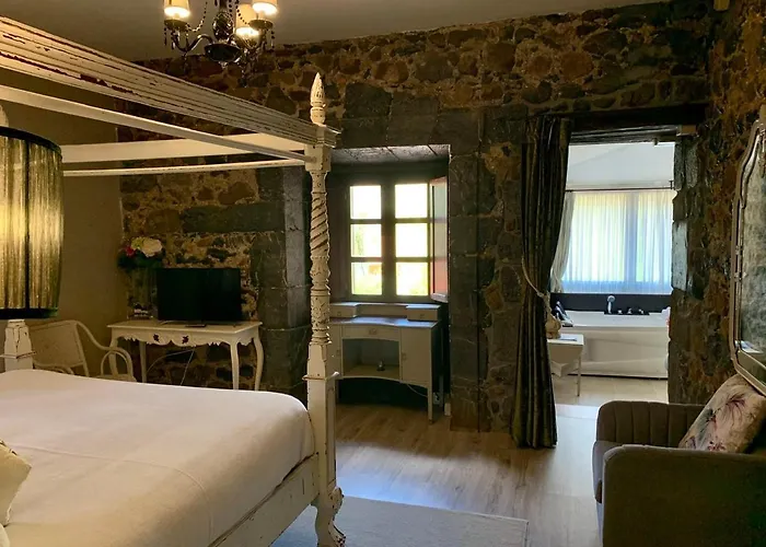 מלון Akla Palacio Torre De Ruesga 4*